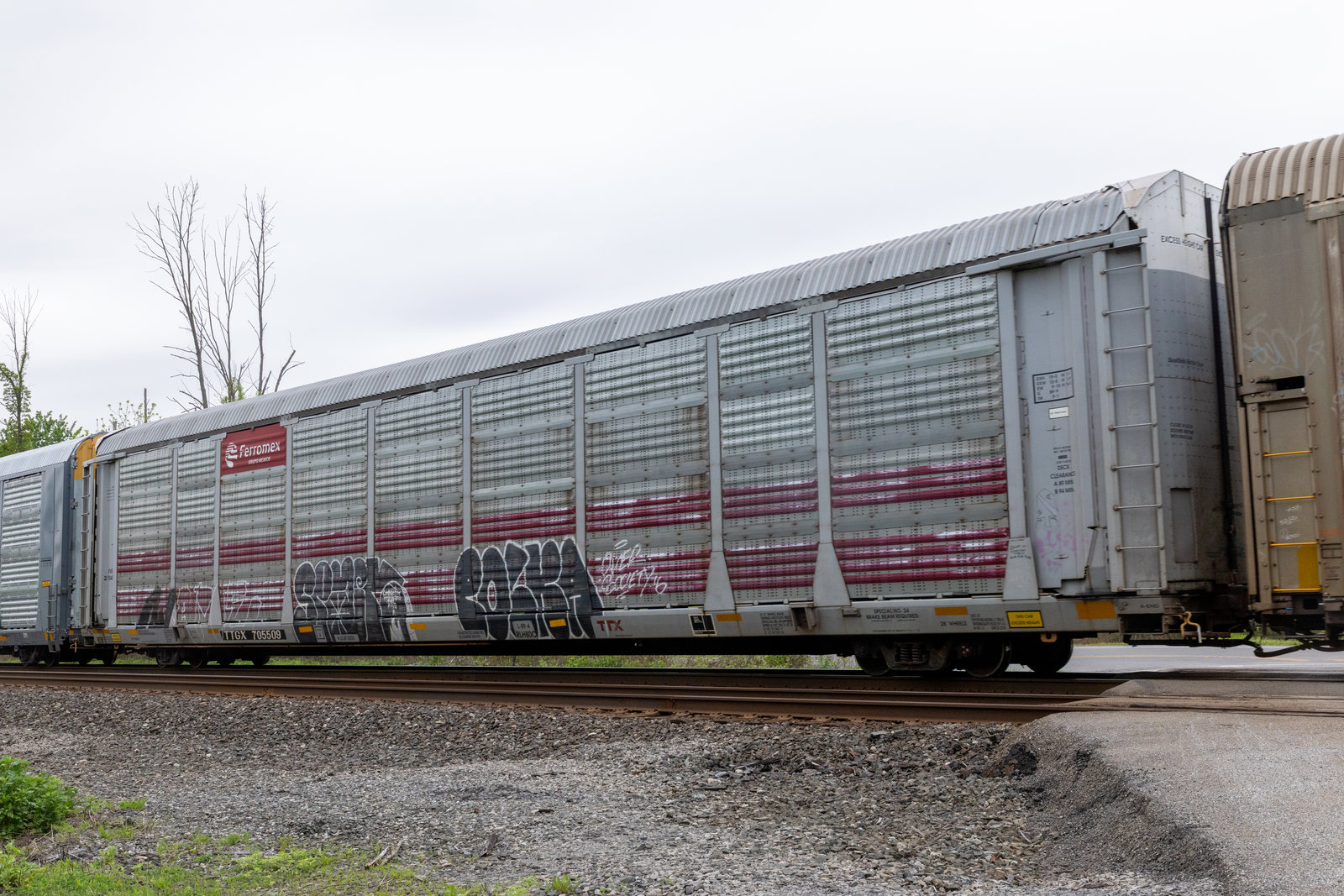 TTGX 705509