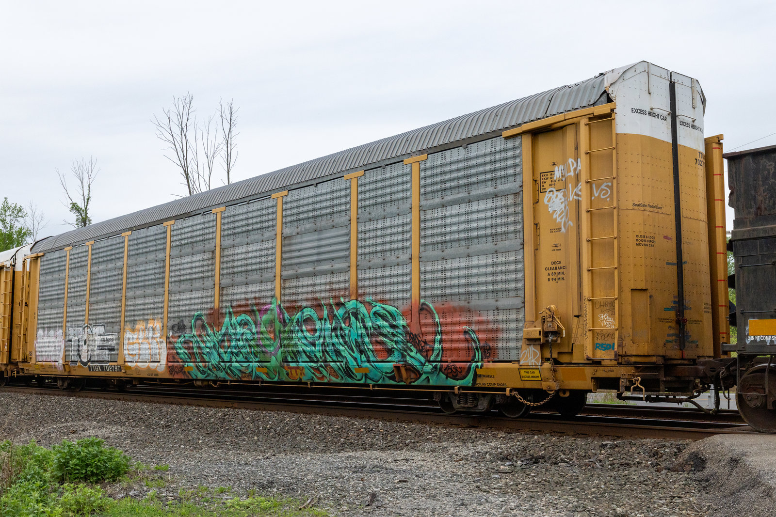 TTGX 702797