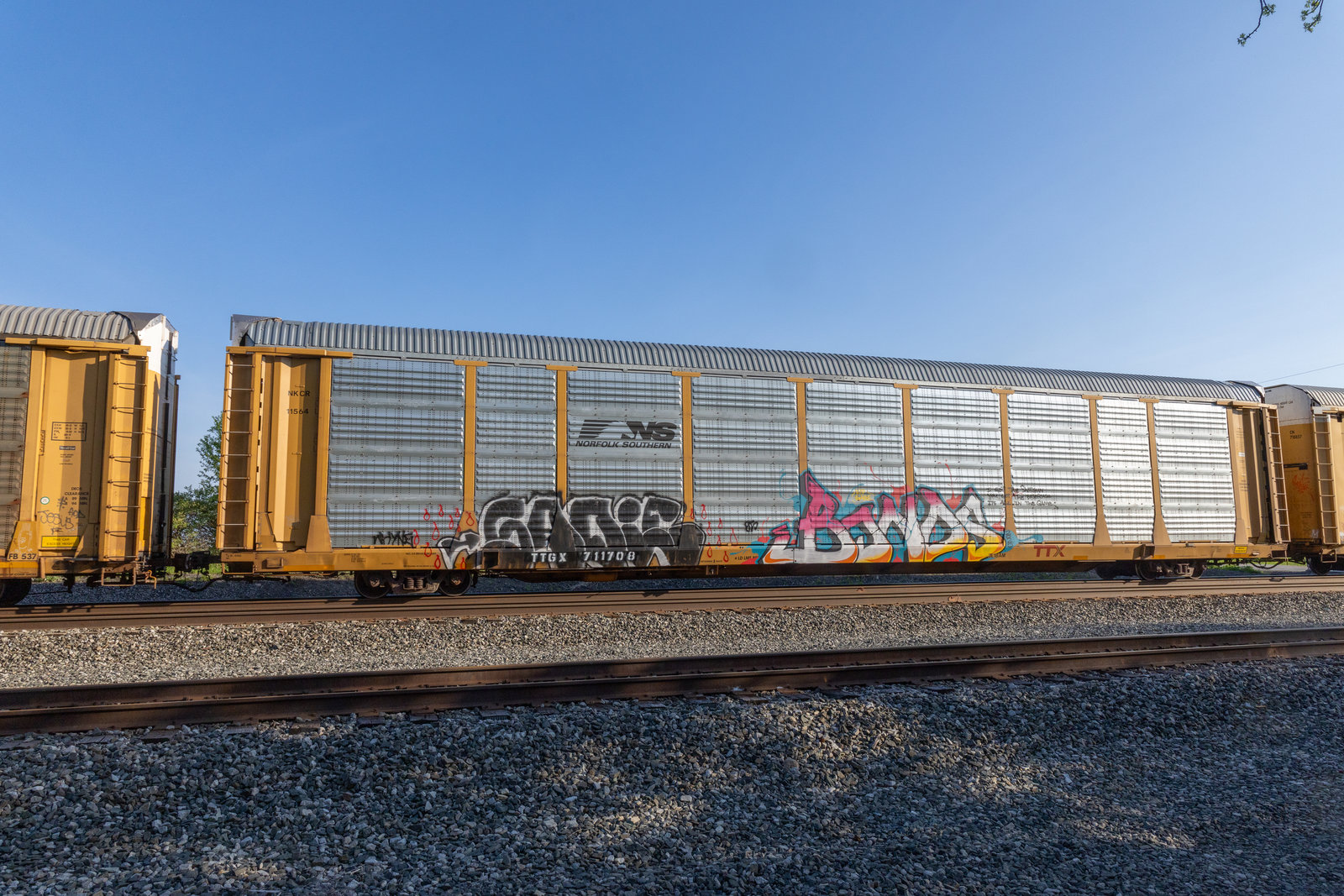 TTGX 711708