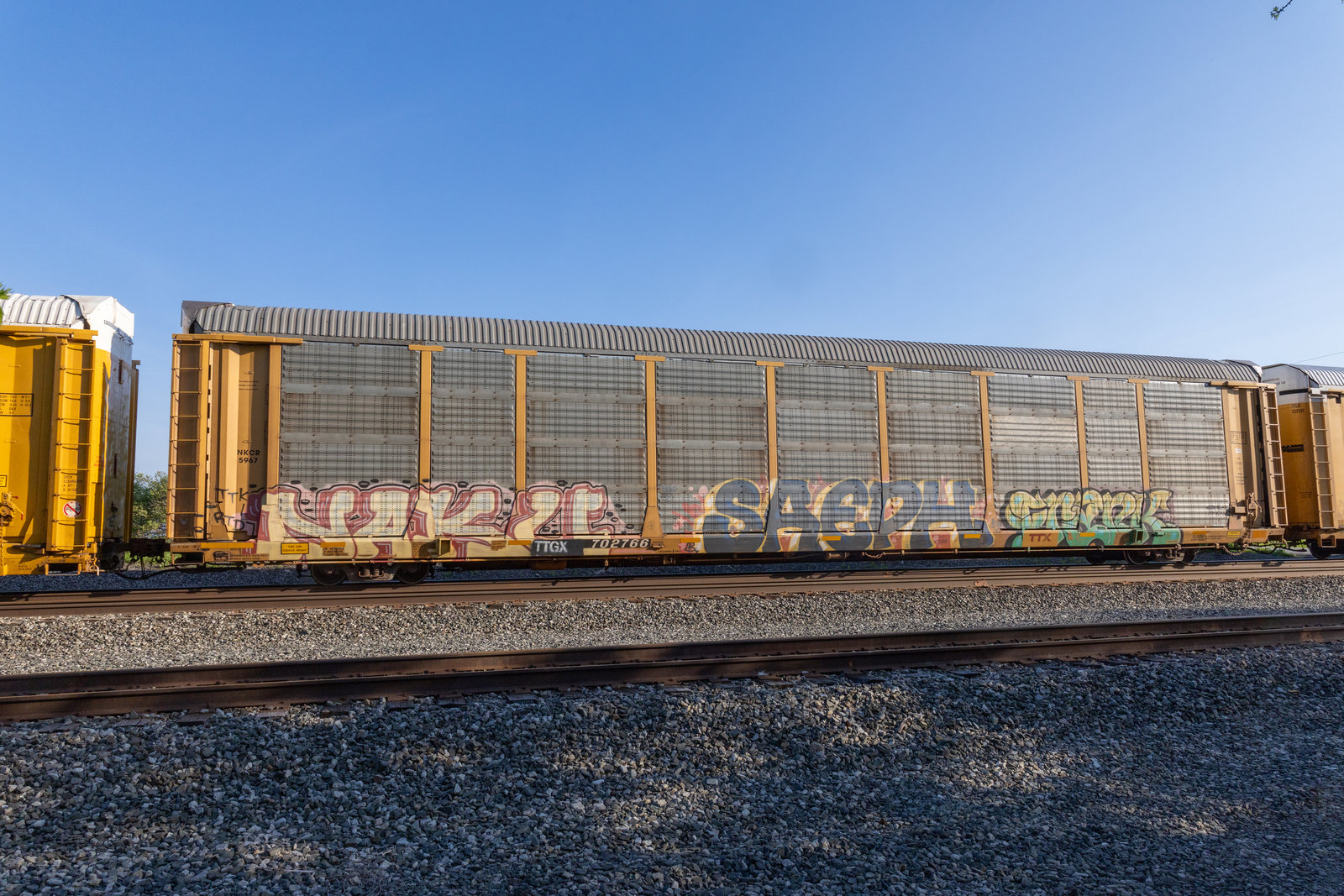 TTGX 702766