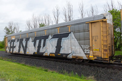 TTGX 987734