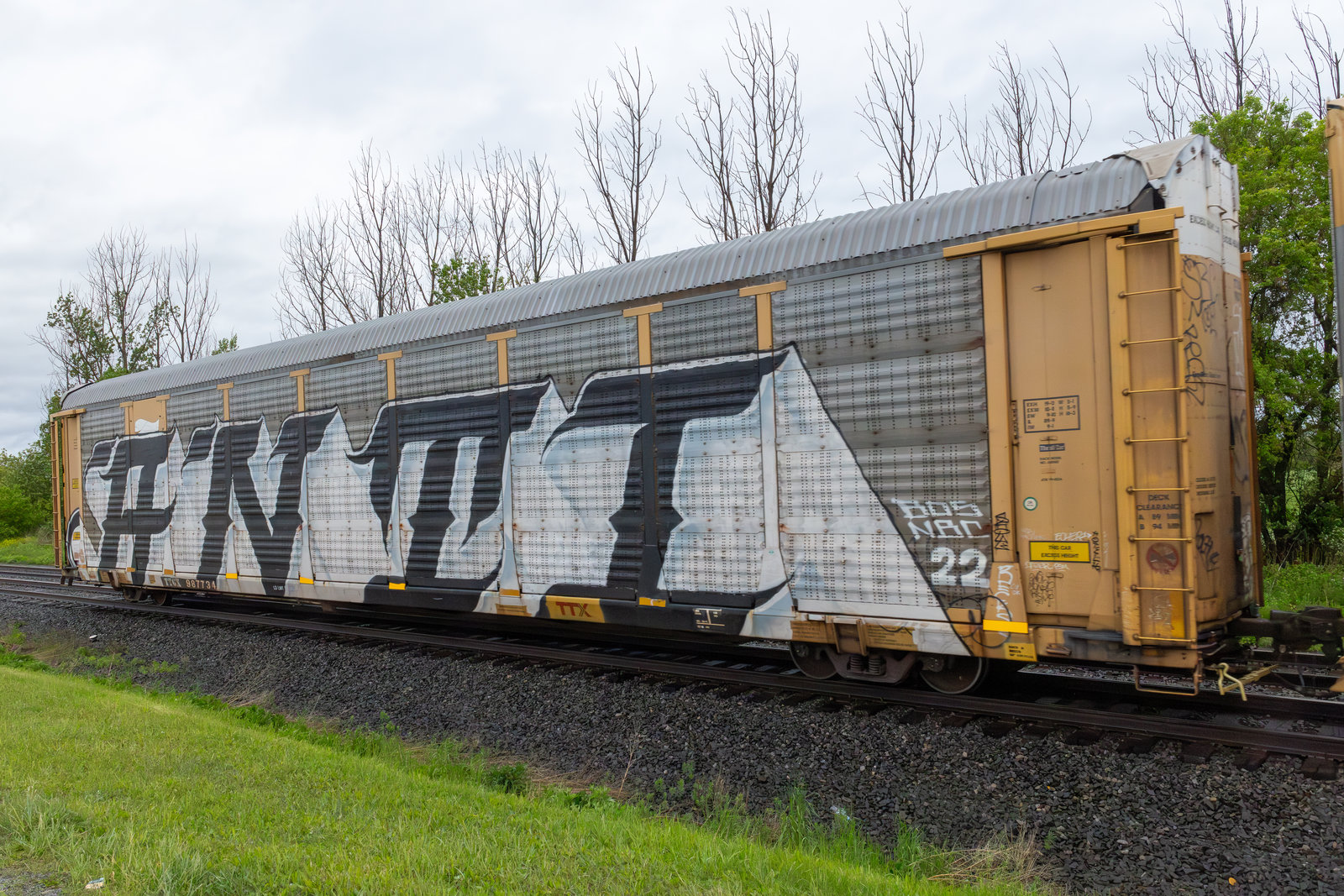 TTGX 987734
