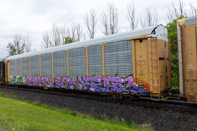 TTGX 983382