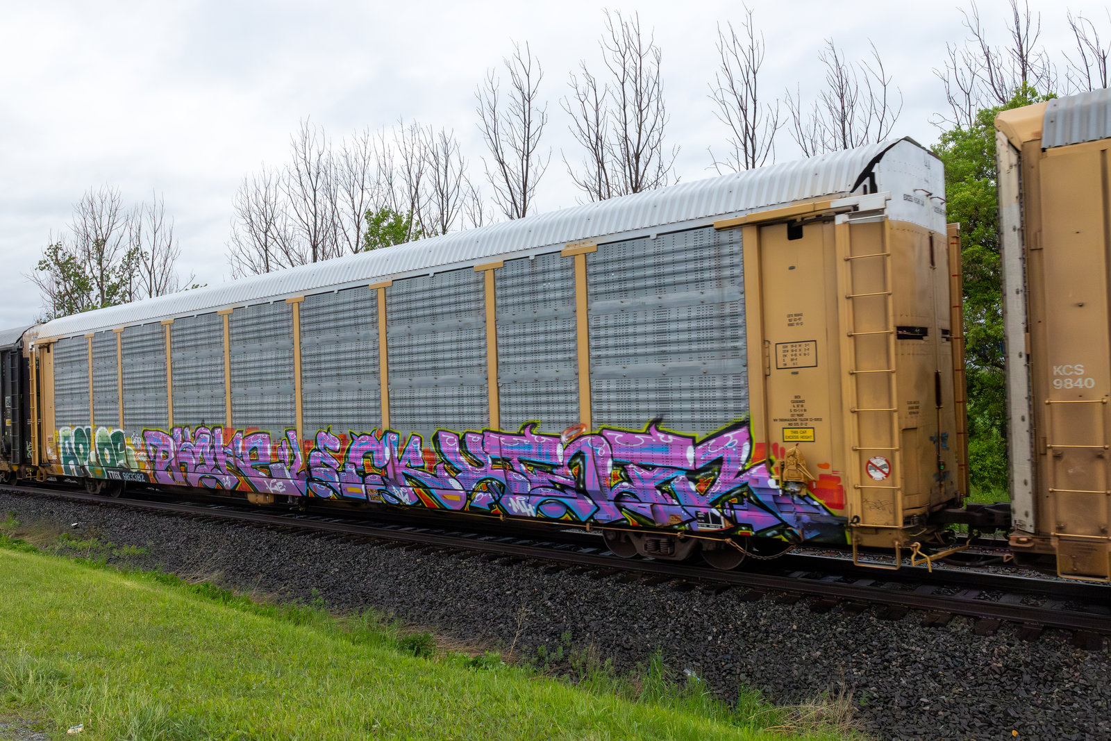 TTGX 983382