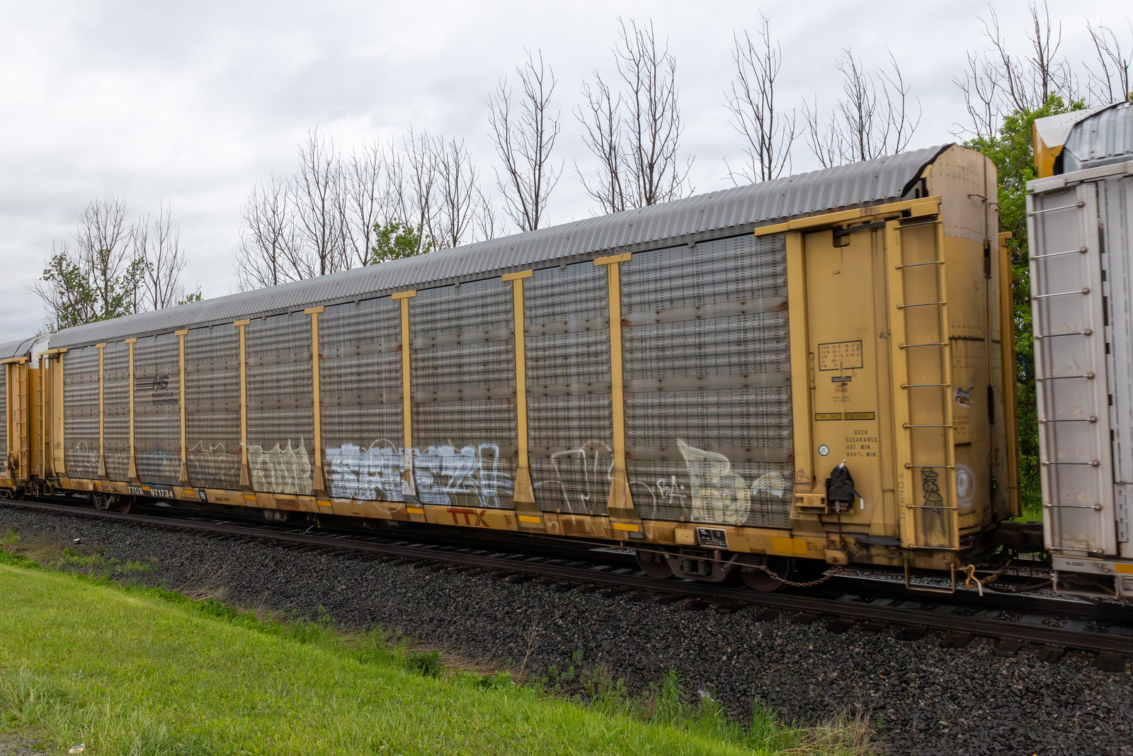 TTGX 971734