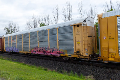 TTGX 983653