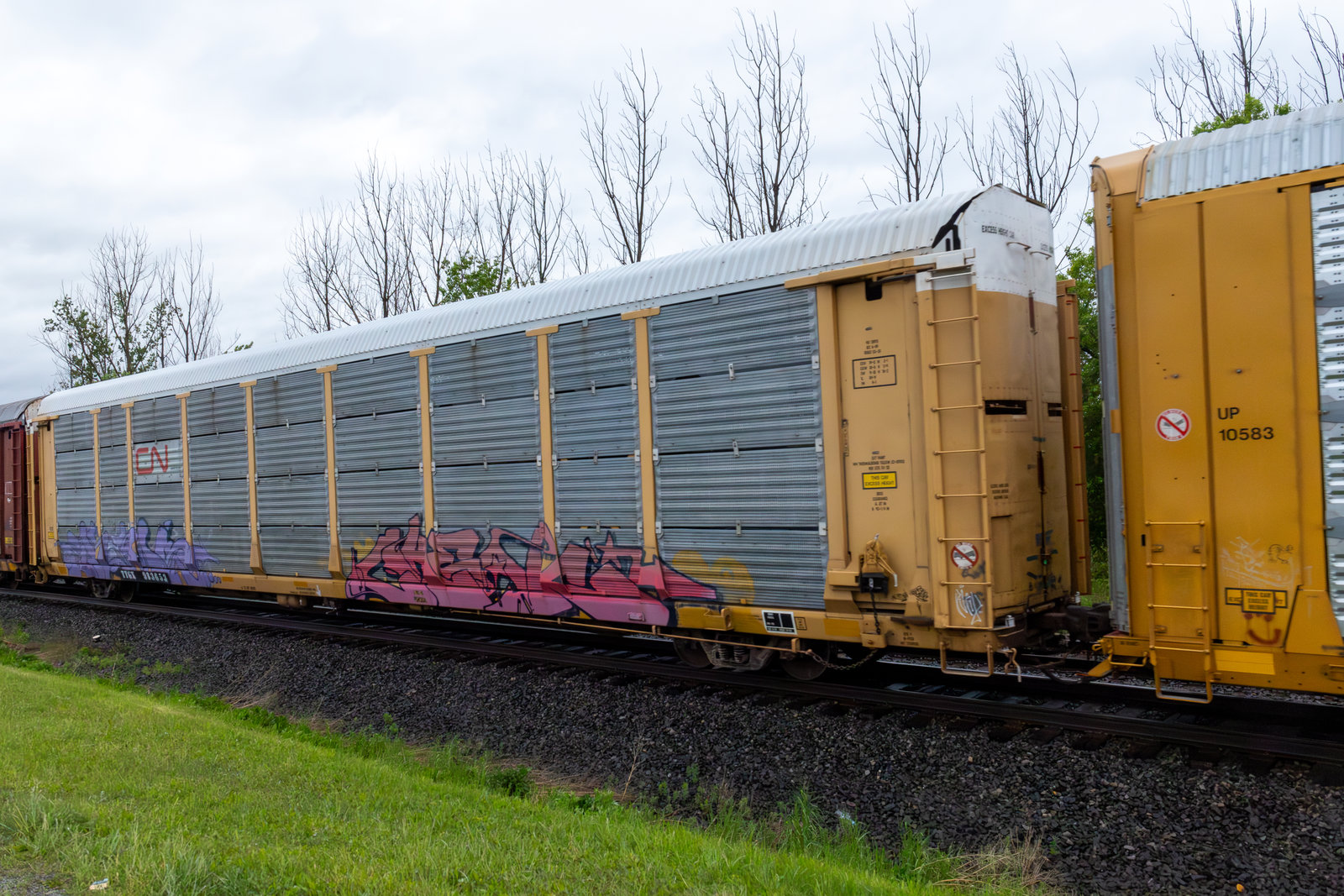 TTGX 983653