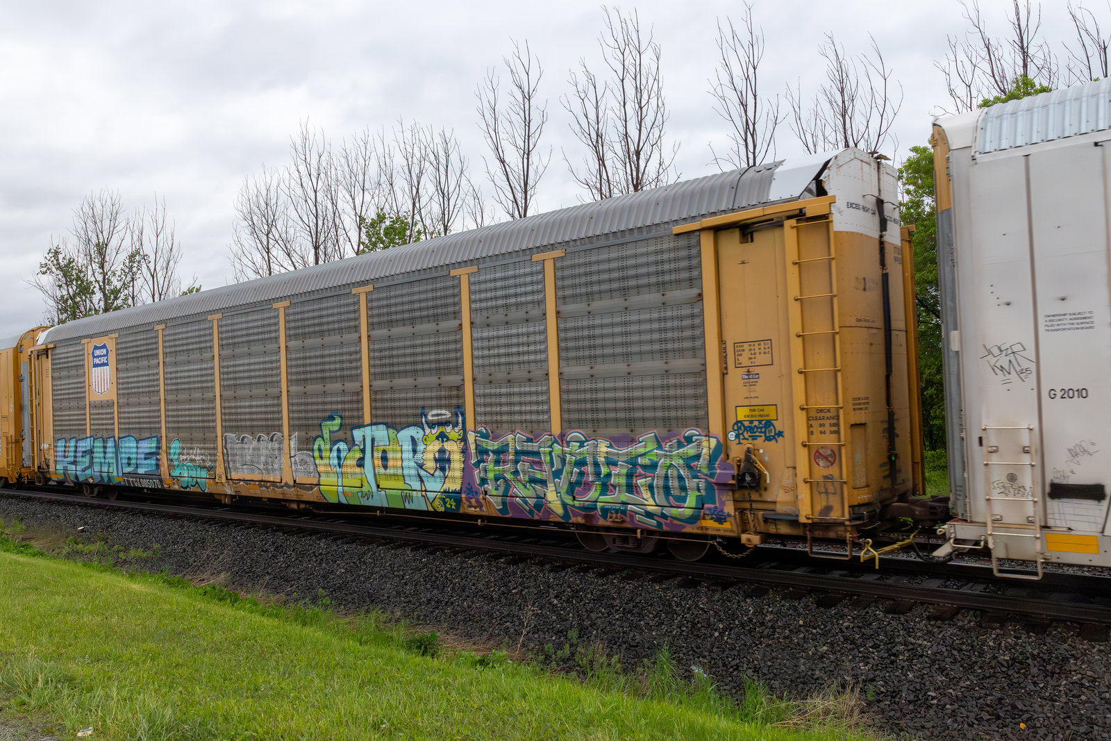 TTGX 995079