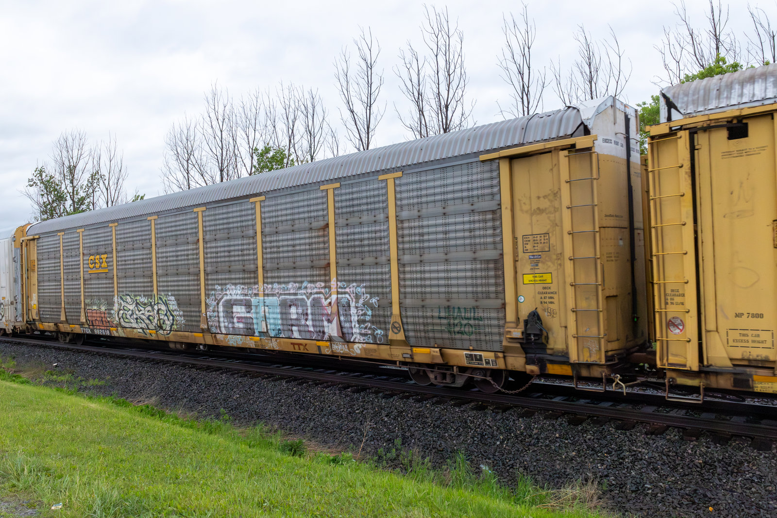 TTGX 982618