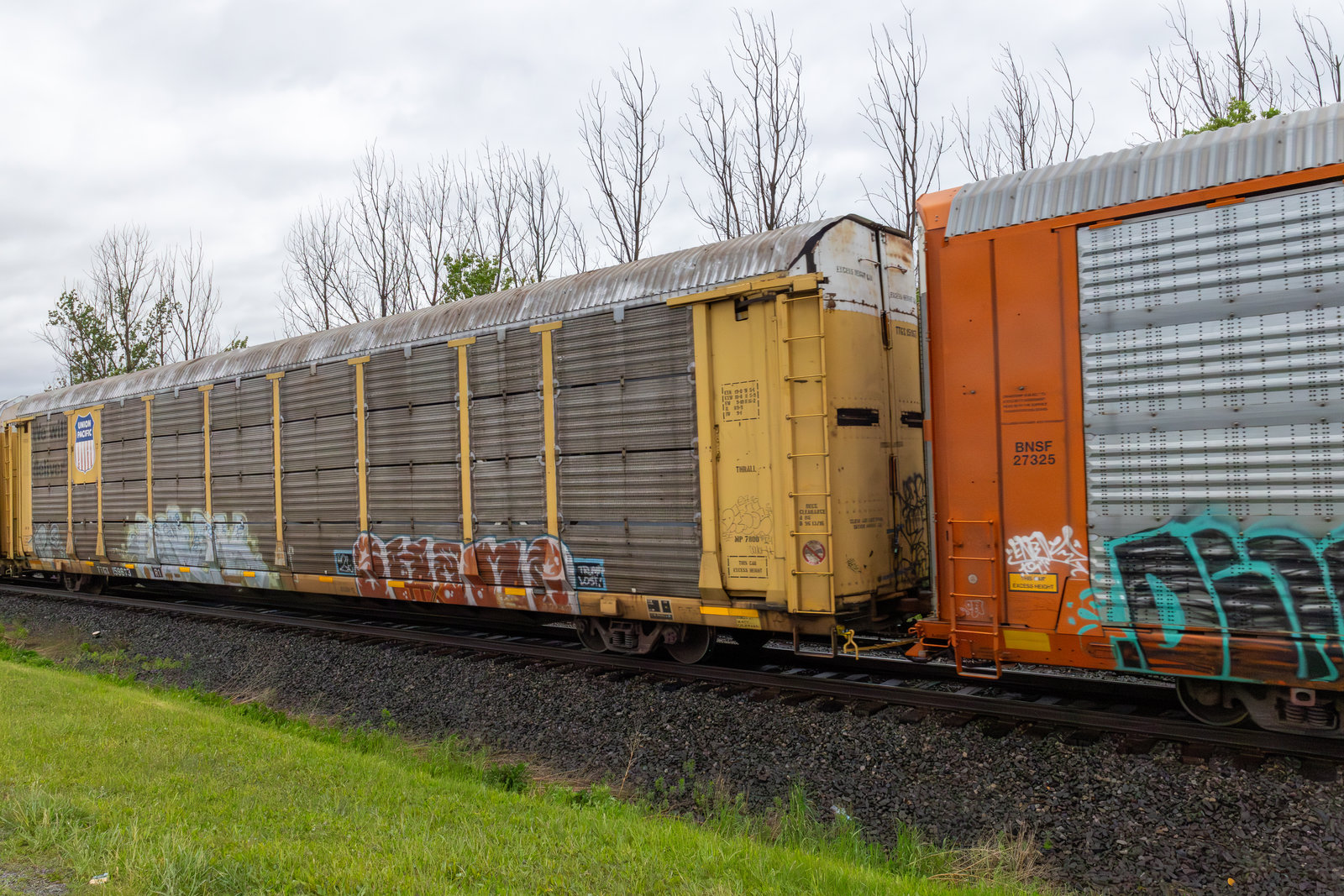TTGX 159673