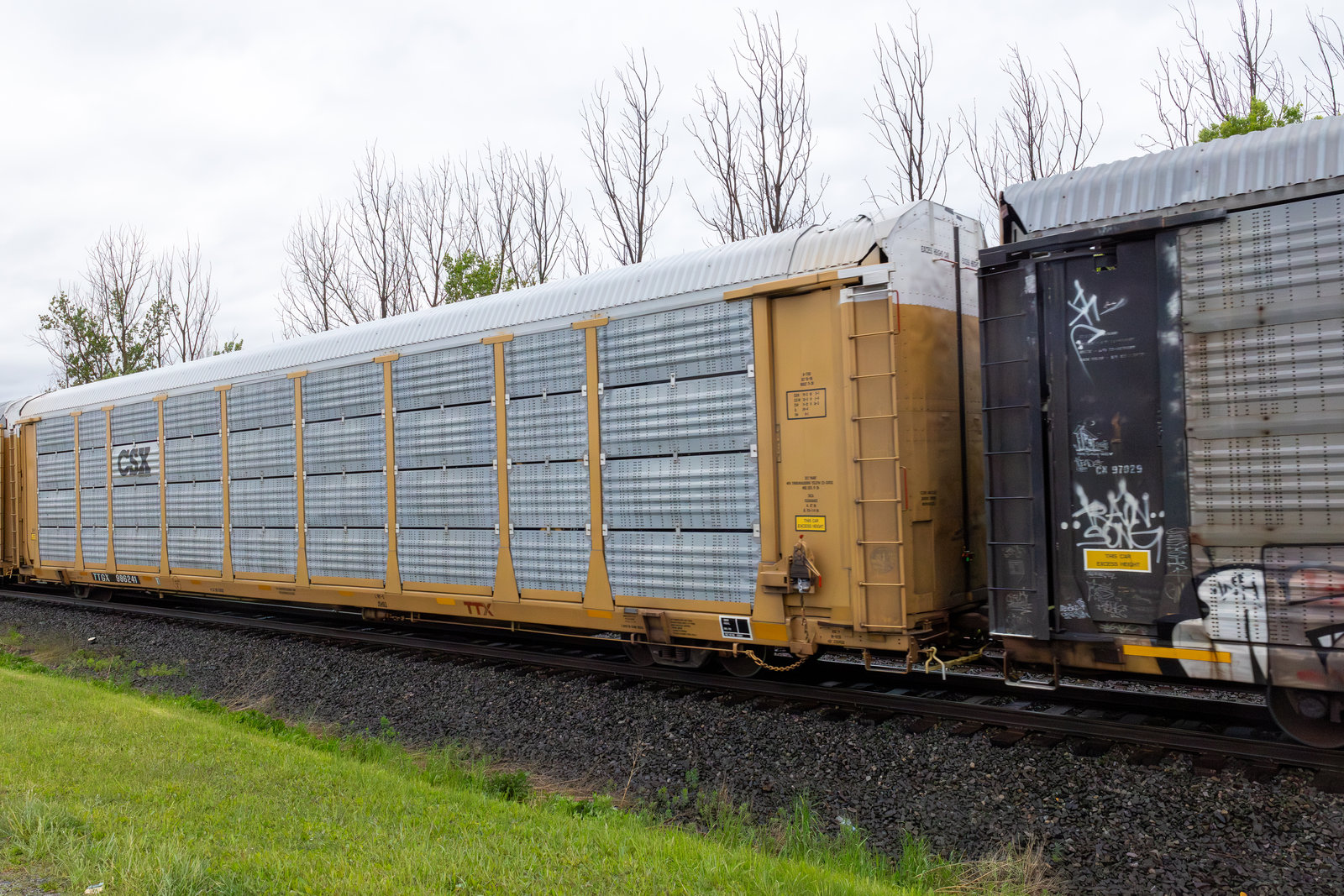 TTGX 986241