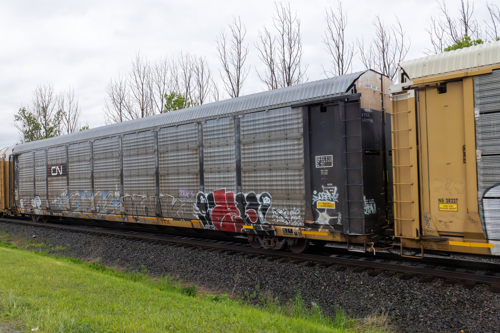 TTGX 991795