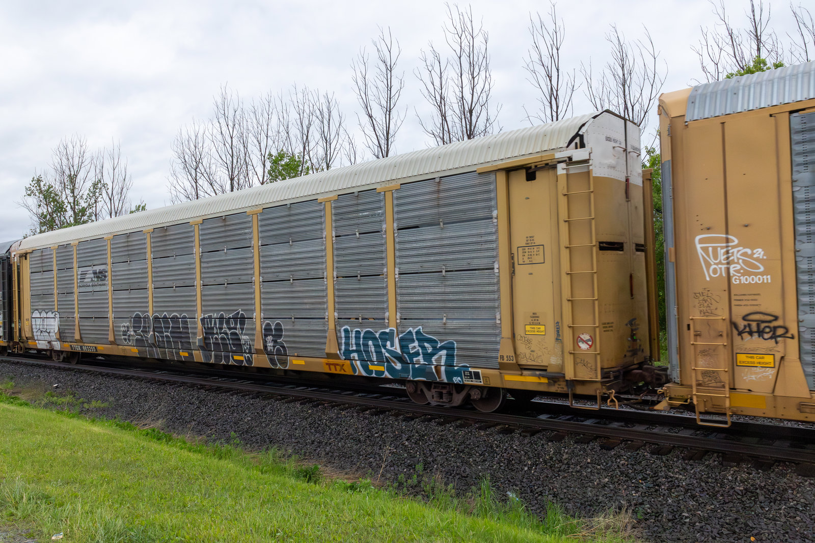 TTGX 983255