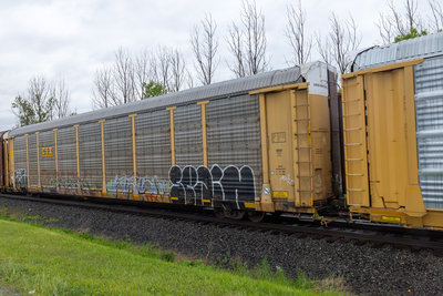 TTGX 987991