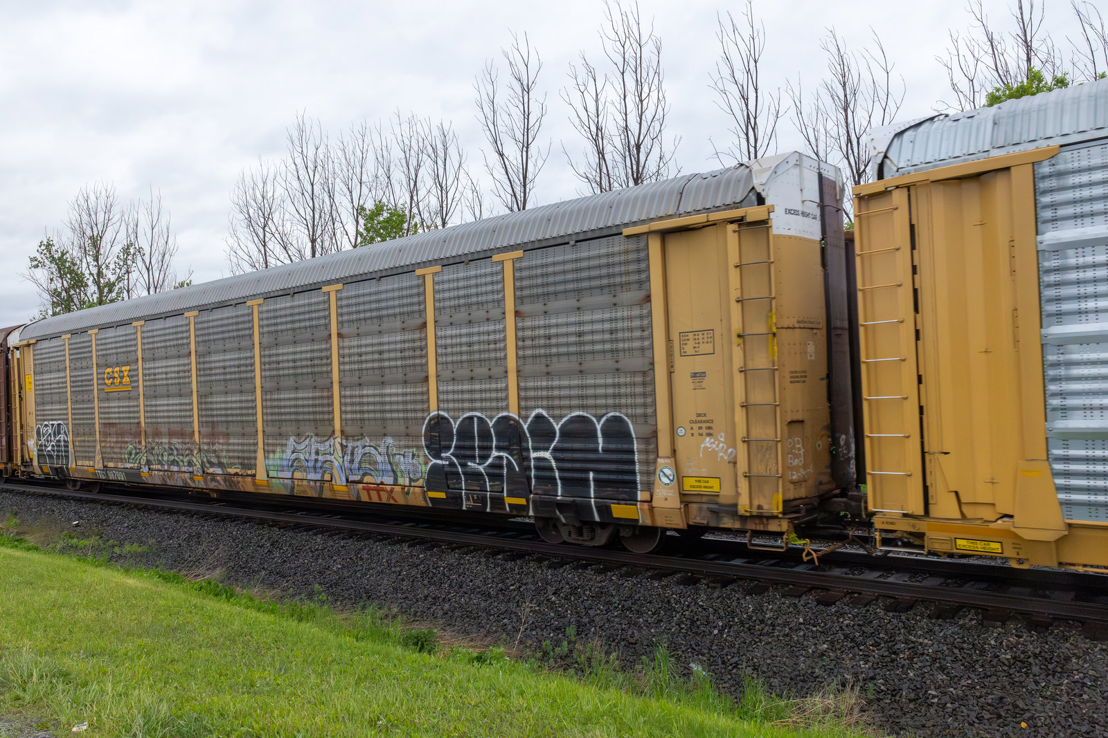 TTGX 987991