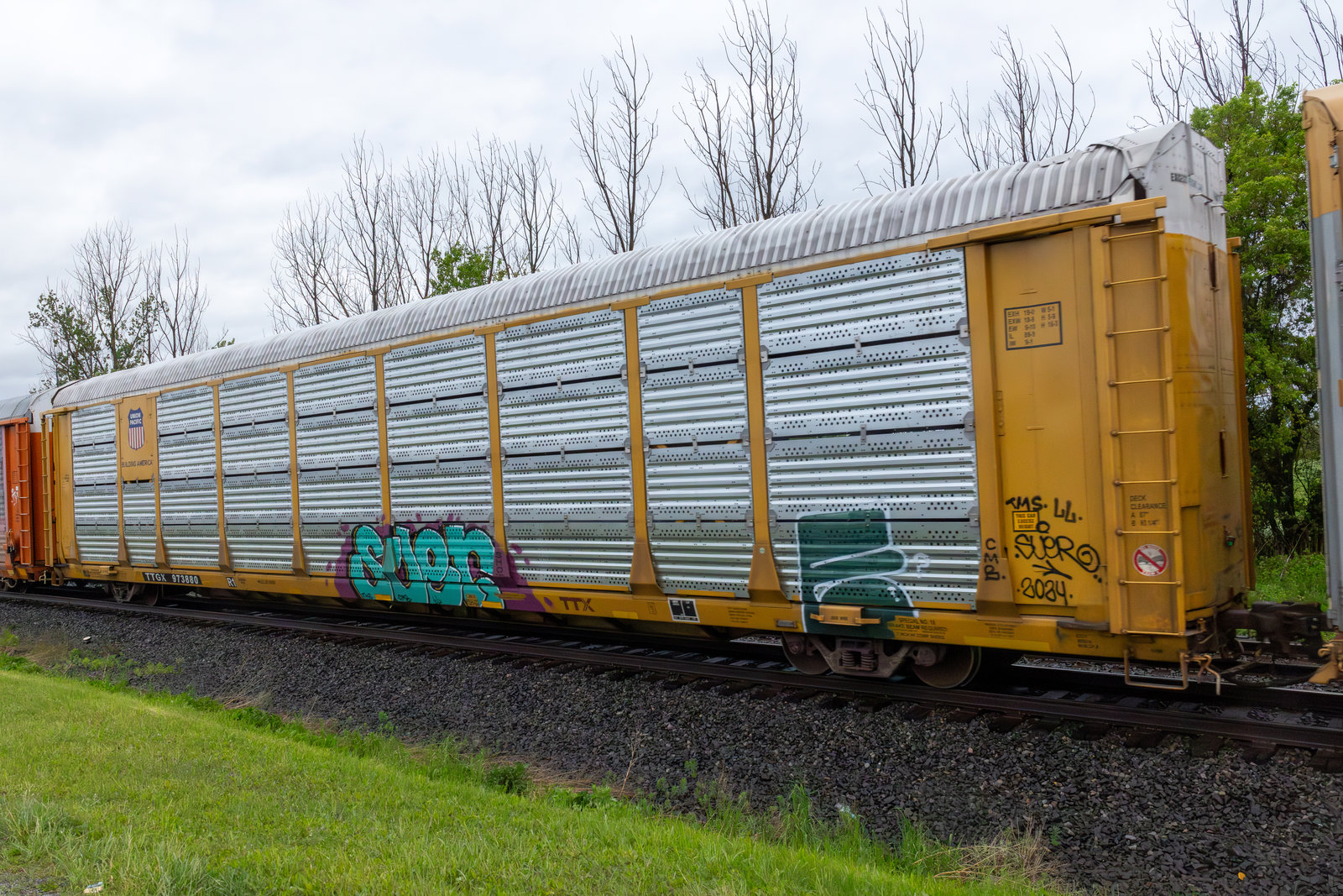 TTGX 973880