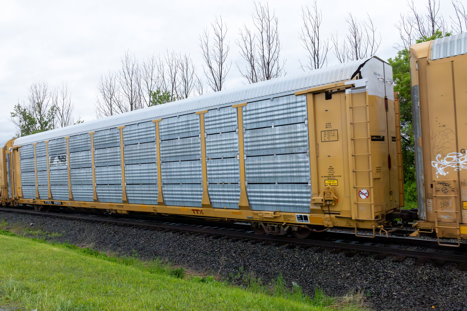 TTGX 991511