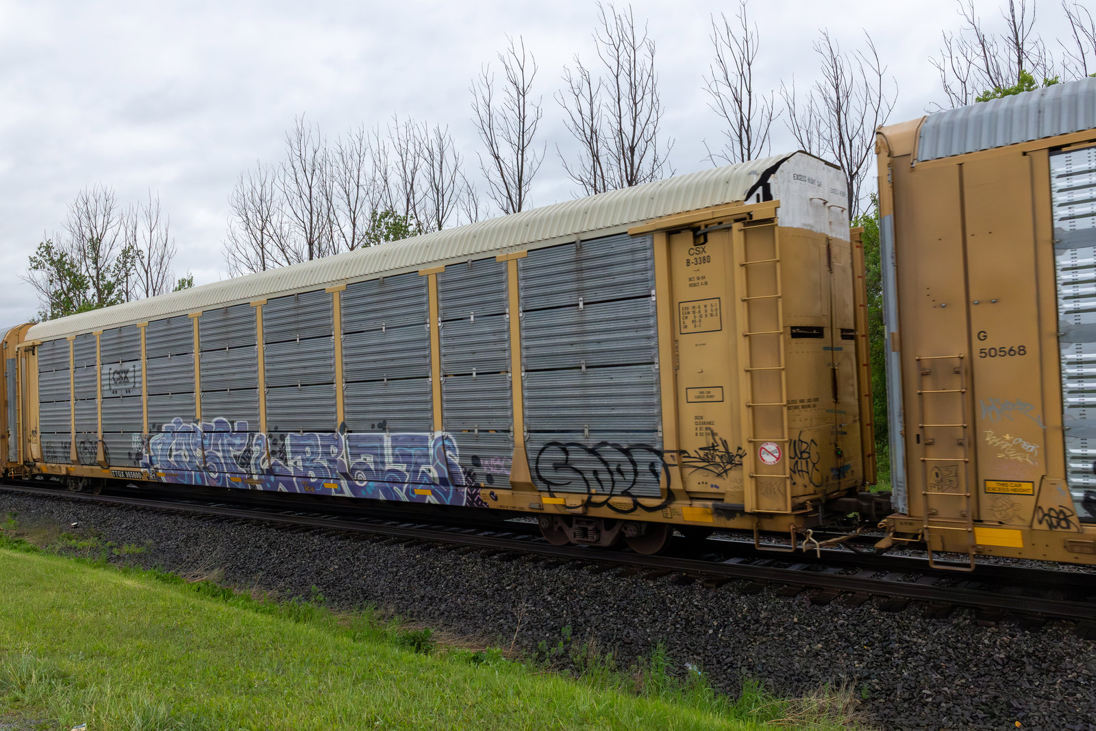 TTGX 965600
