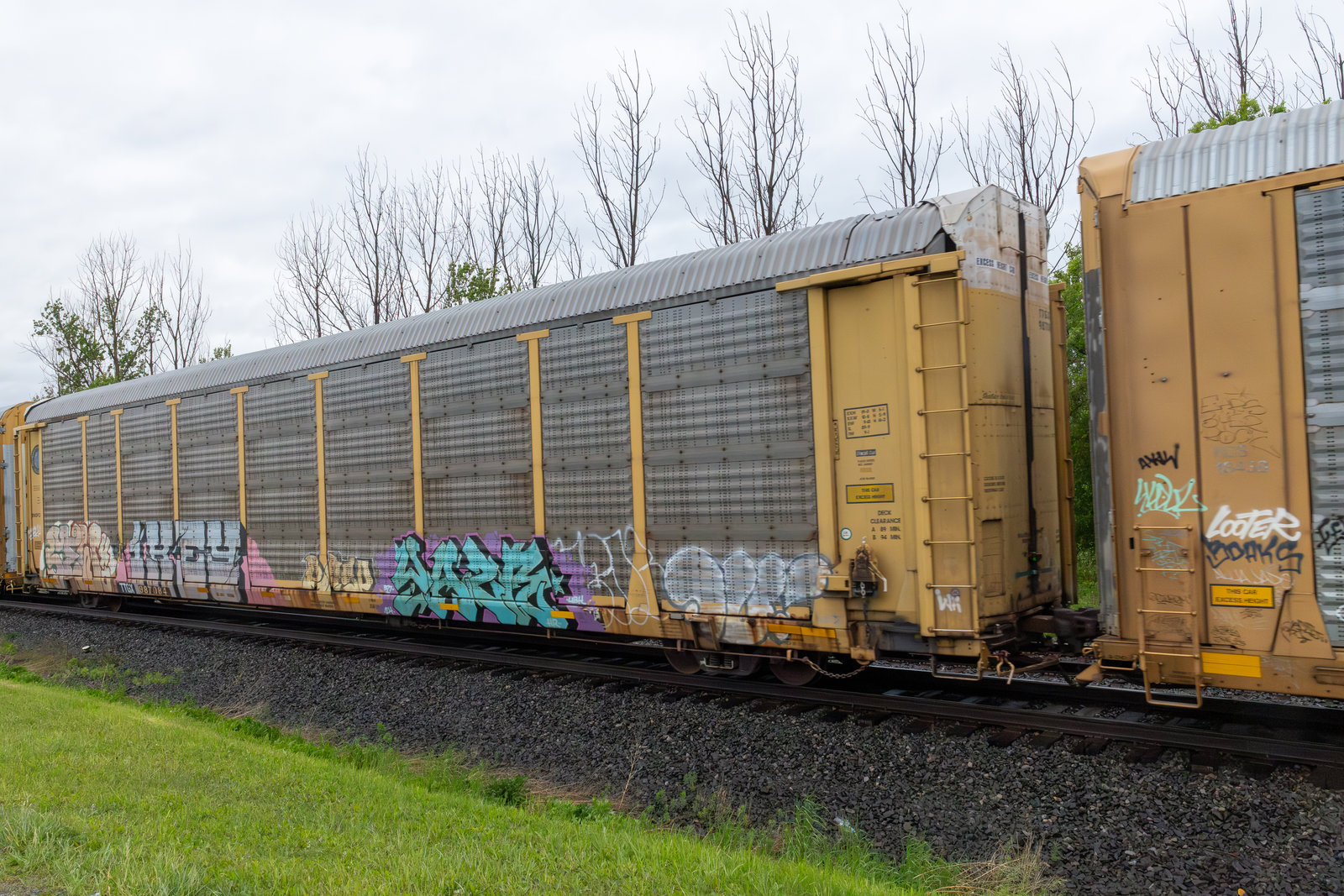 TTGX 987084
