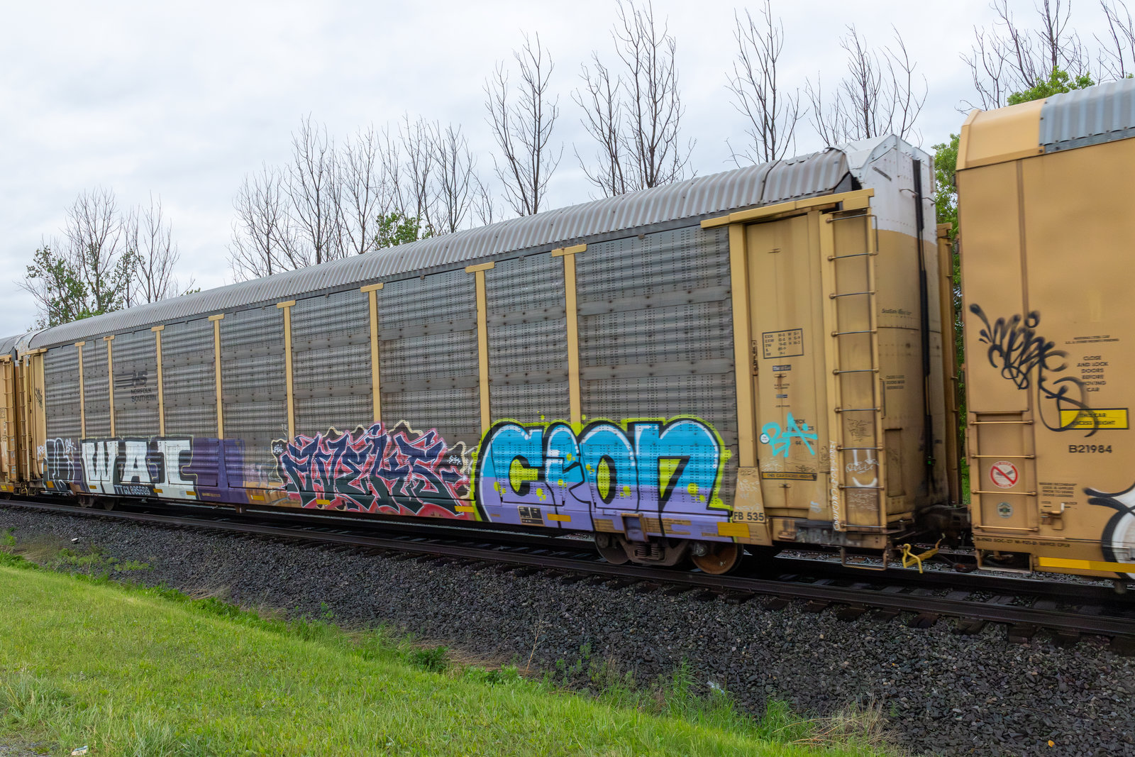 TTGX 985609