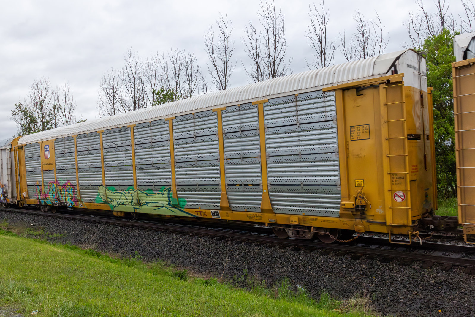TTGX 971909
