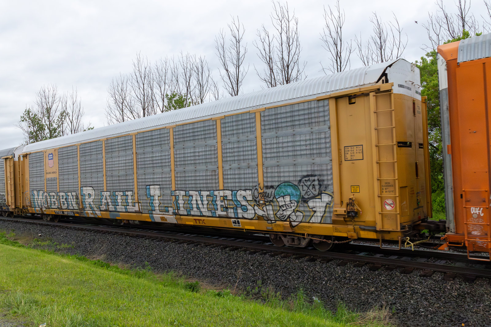 TTGX 993358