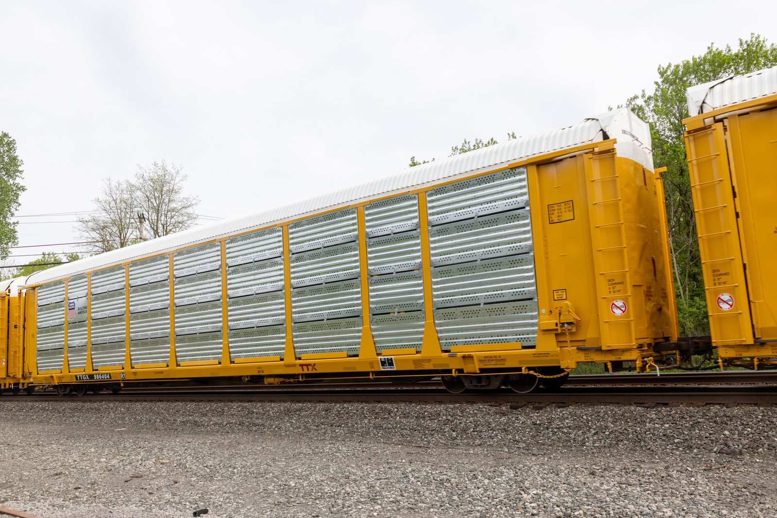 TTGX 986404