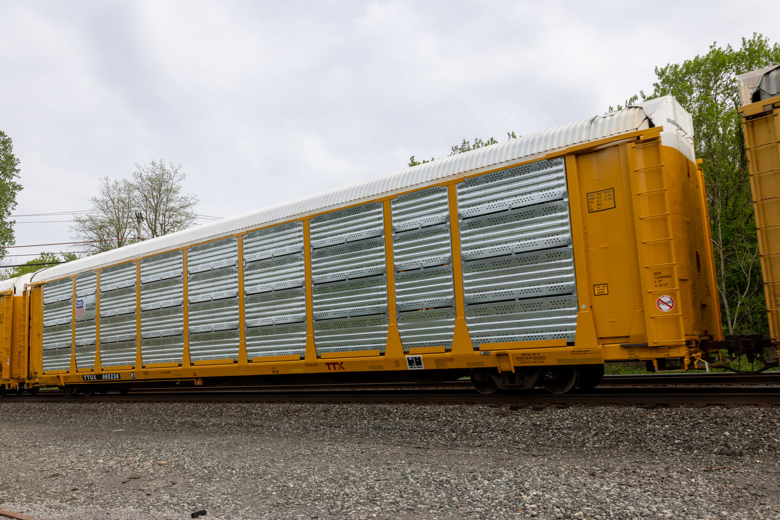 TTGX 985238