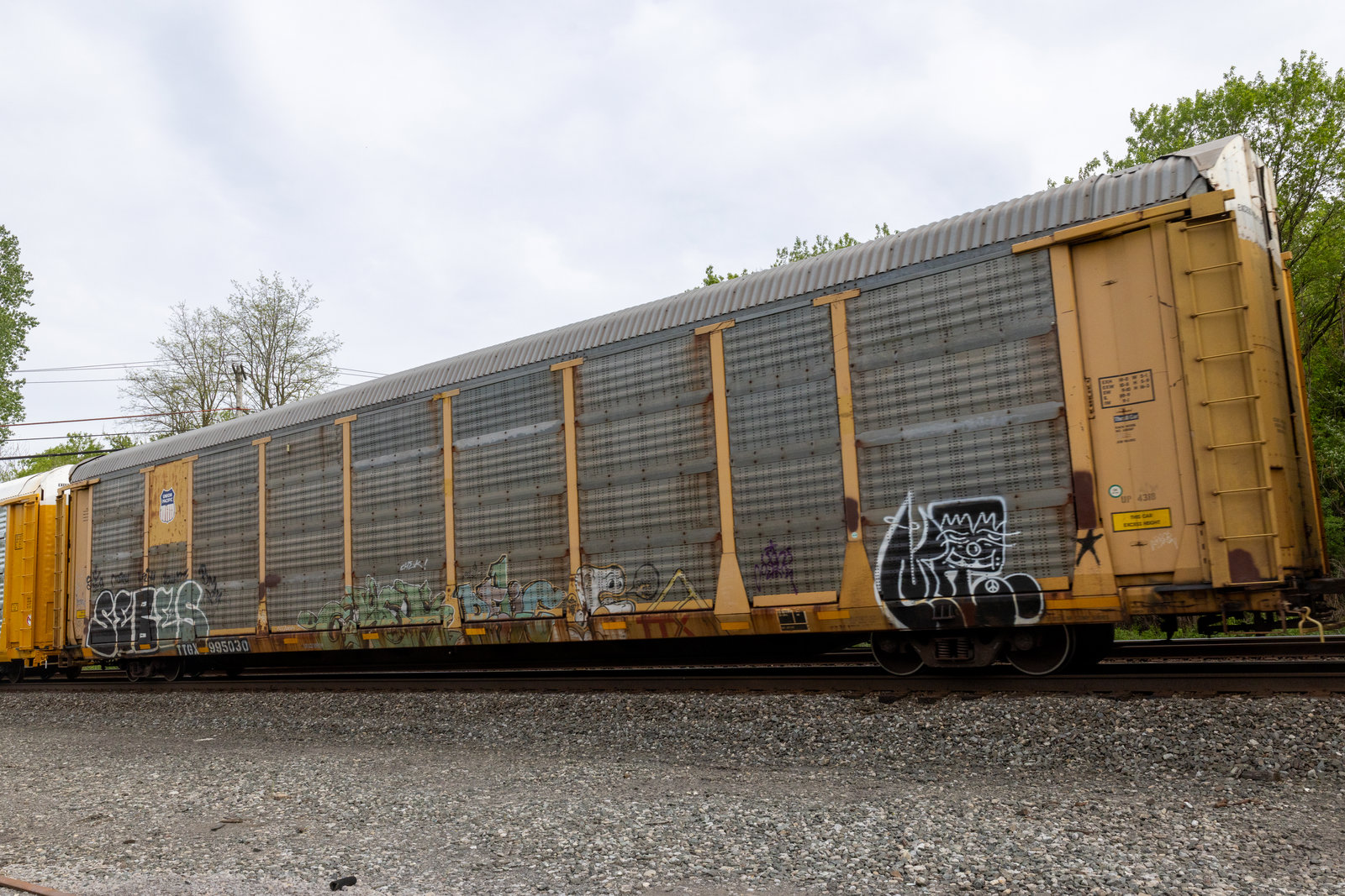 TTGX 995030