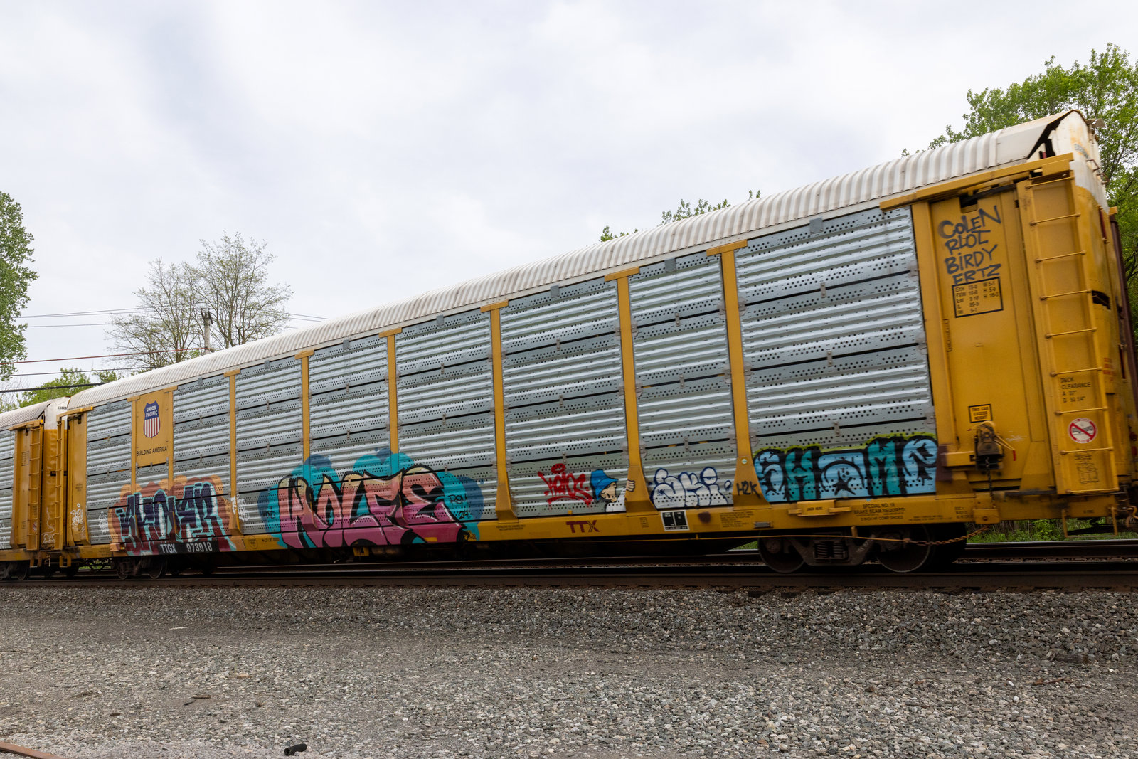 TTGX 973918