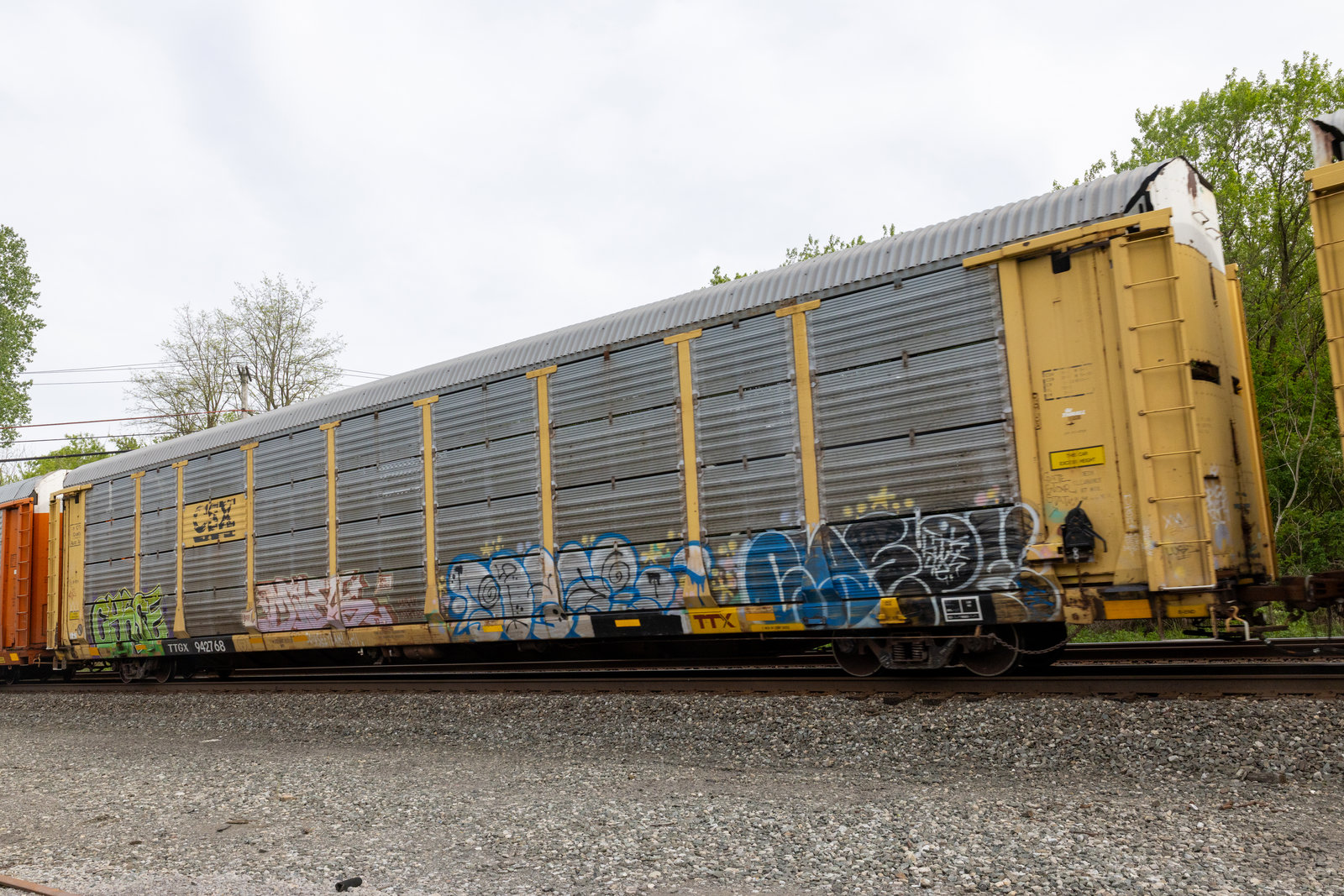 TTGX 942768