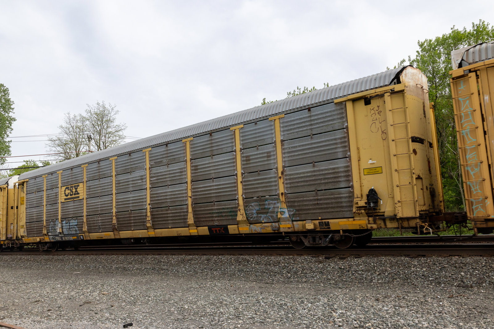 TTGX 979728