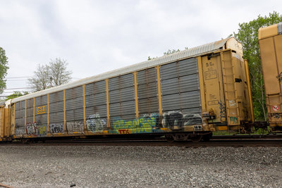 TTGX 254798