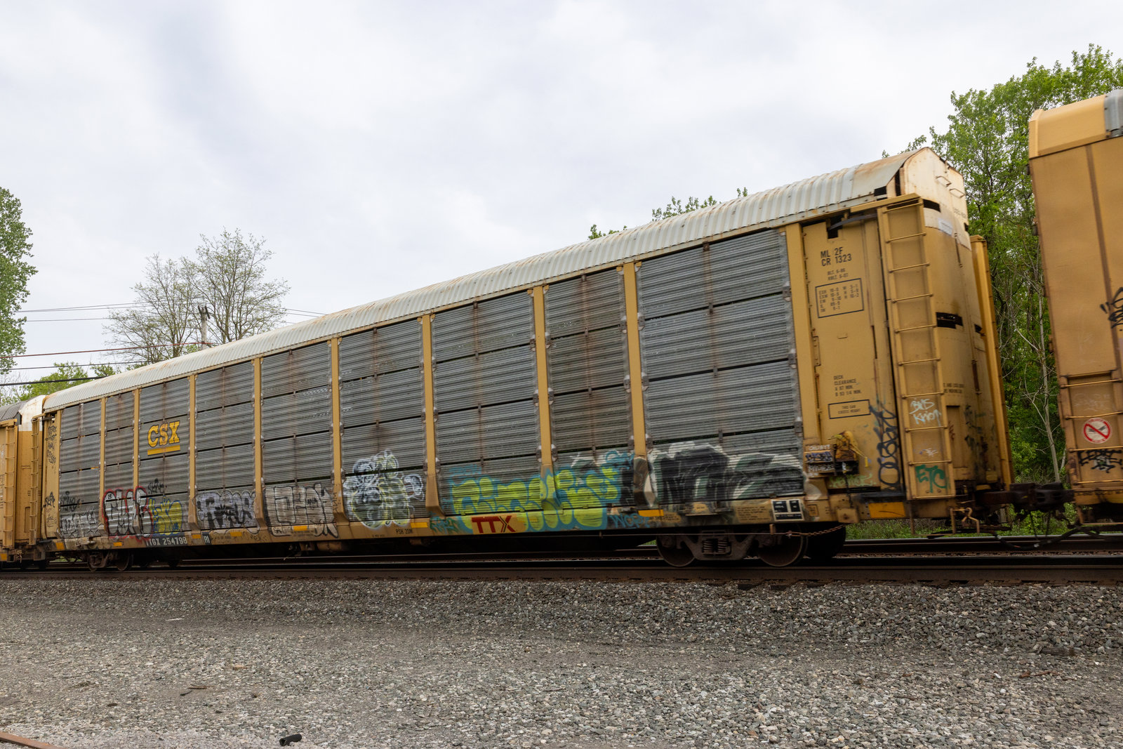 TTGX 254798
