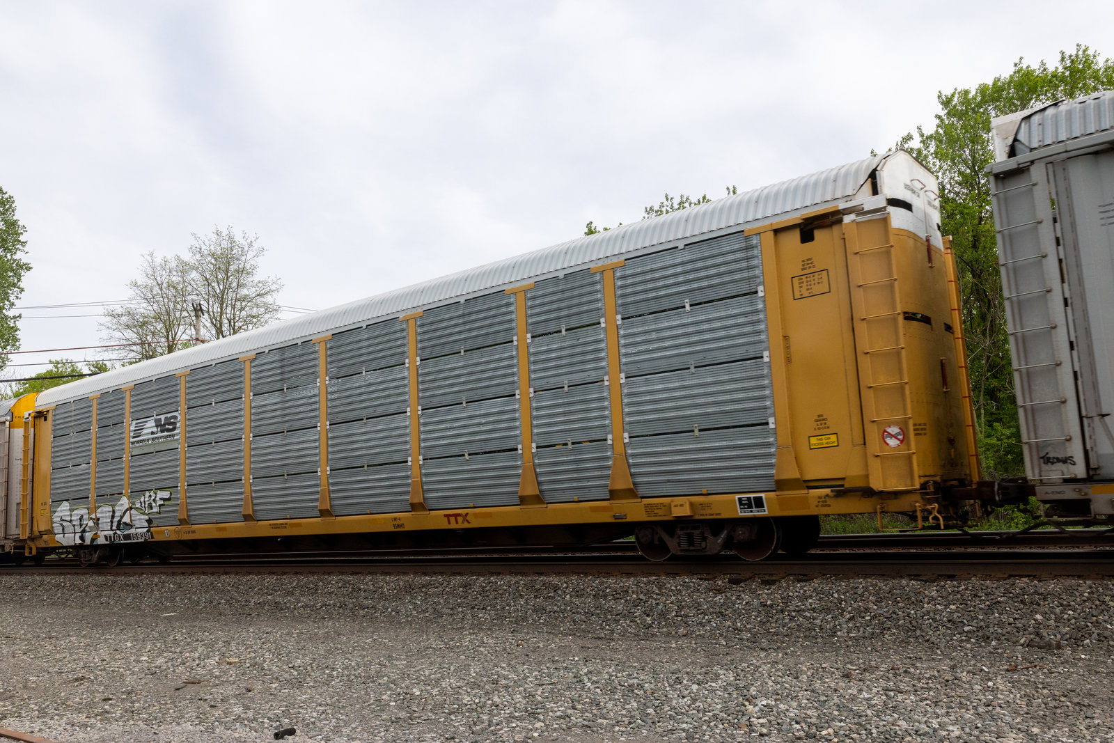 TTGX 159391