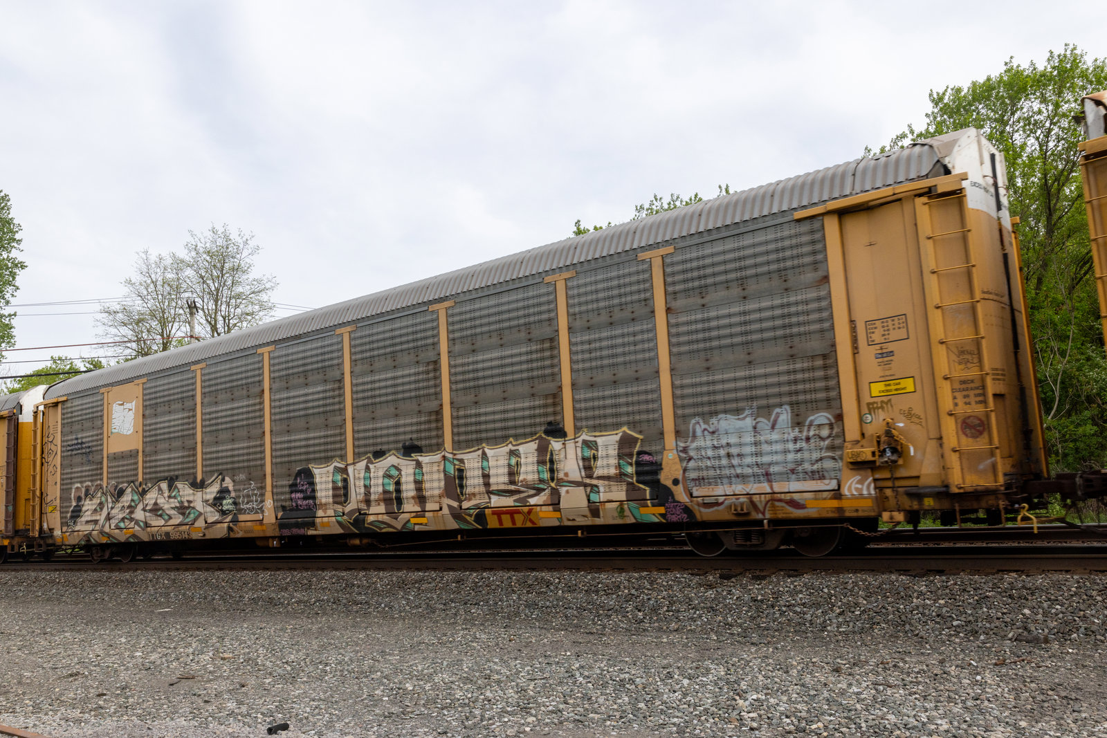 TTGX 995143