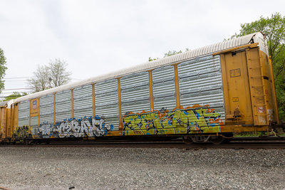 TTGX 975829
