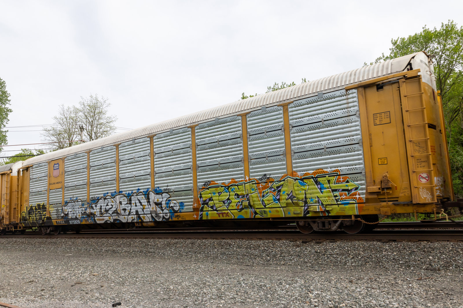 TTGX 975829