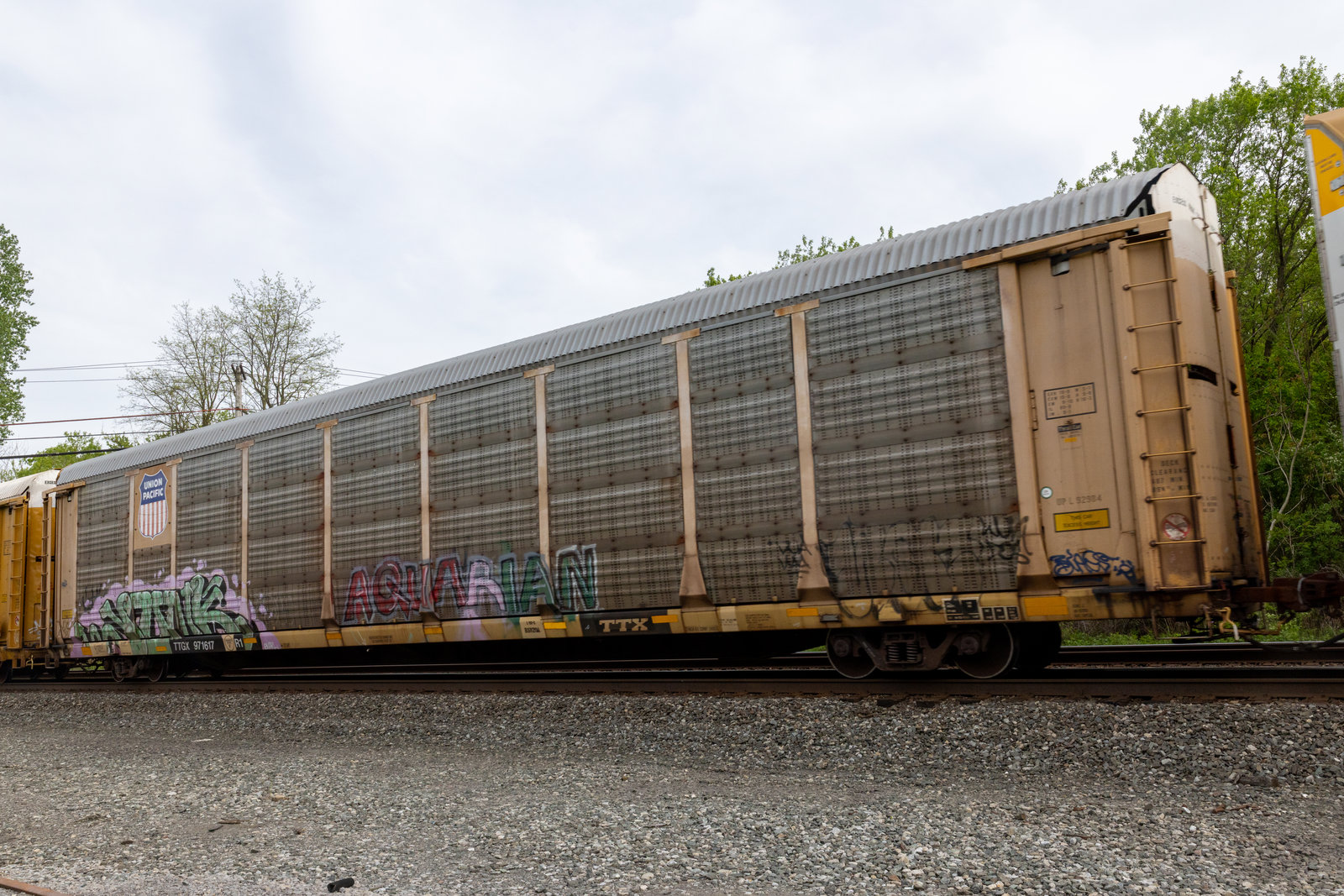 TTGX 971617