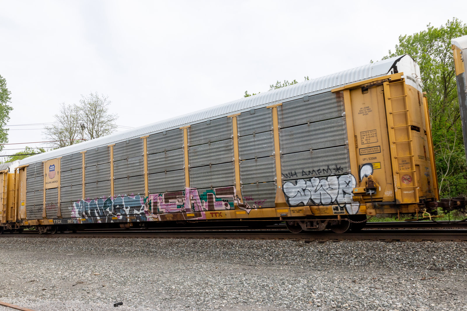 TTGX 983191