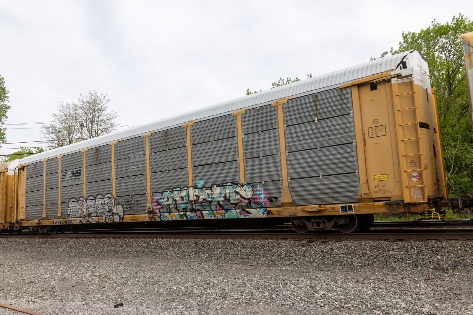 TTGX 975727