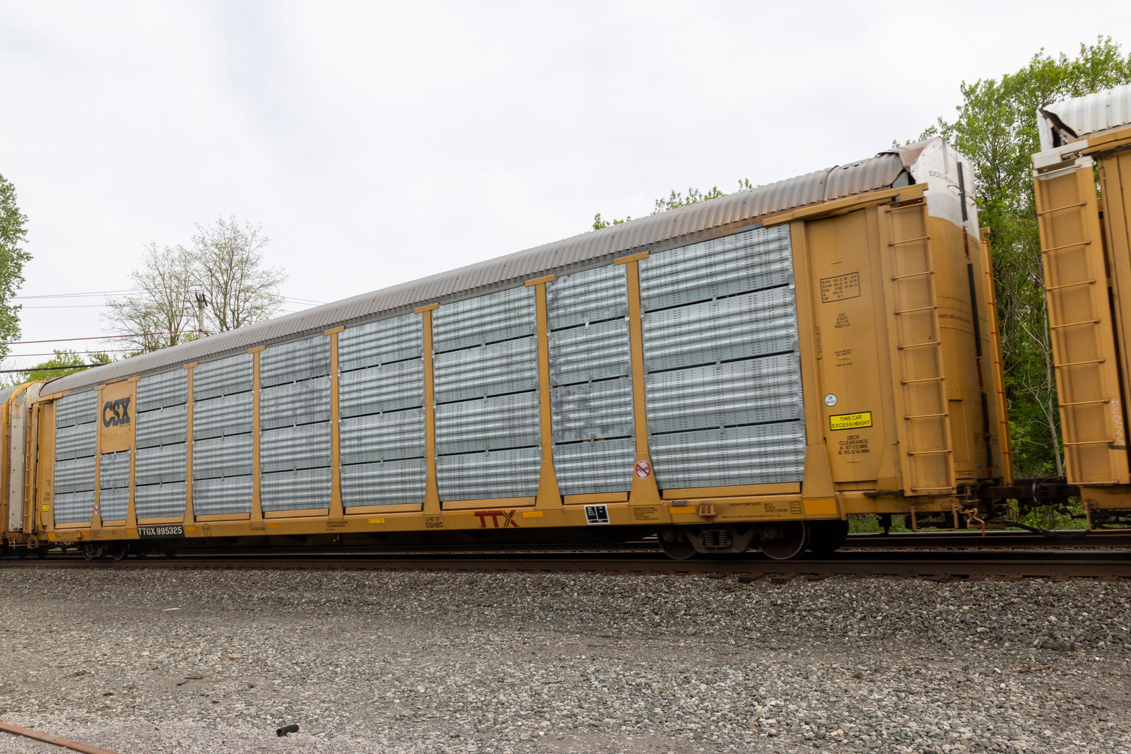 TTGX 995325