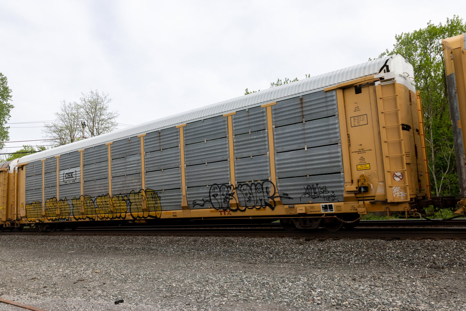 TTGX 263910