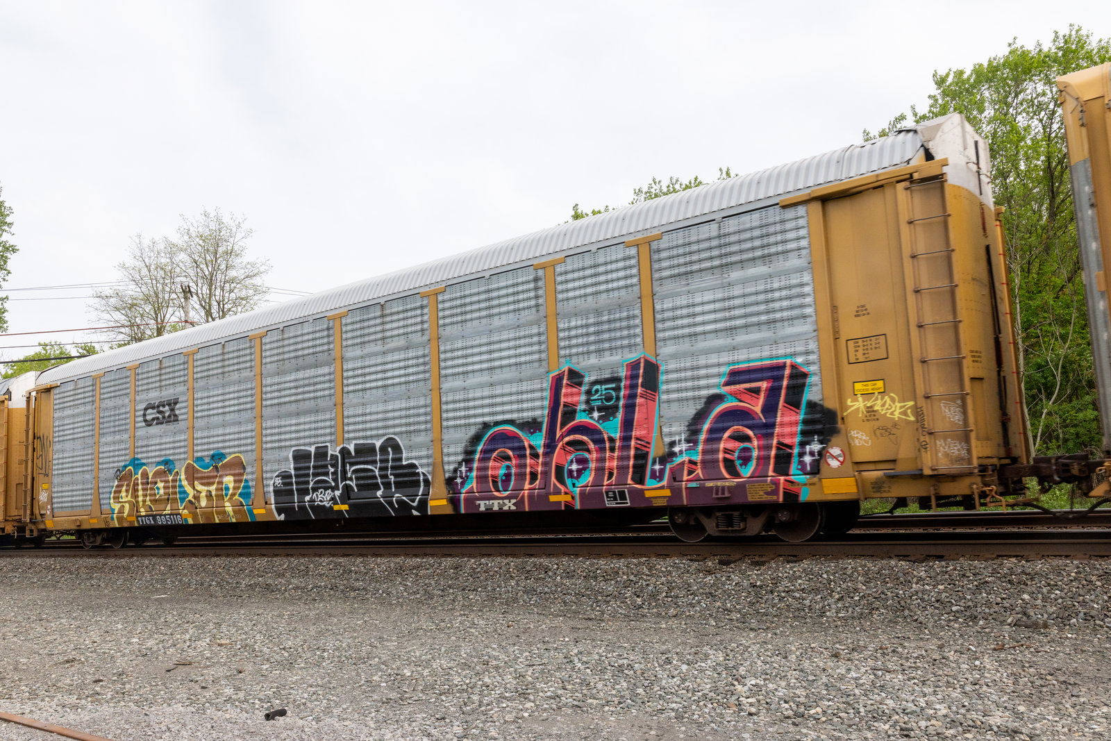 TTGX 995116