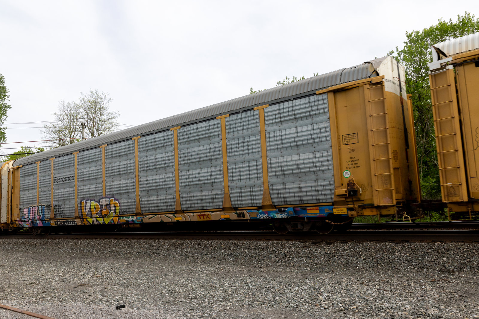 TTGX 993567