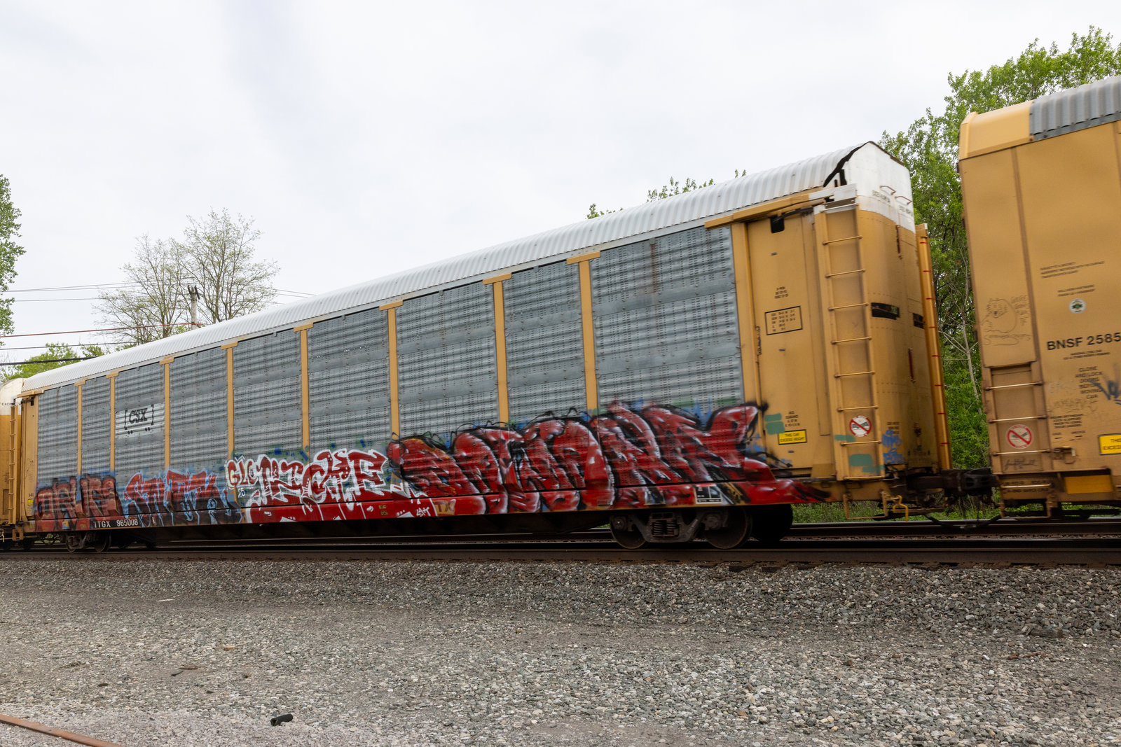 TTGX 965008
