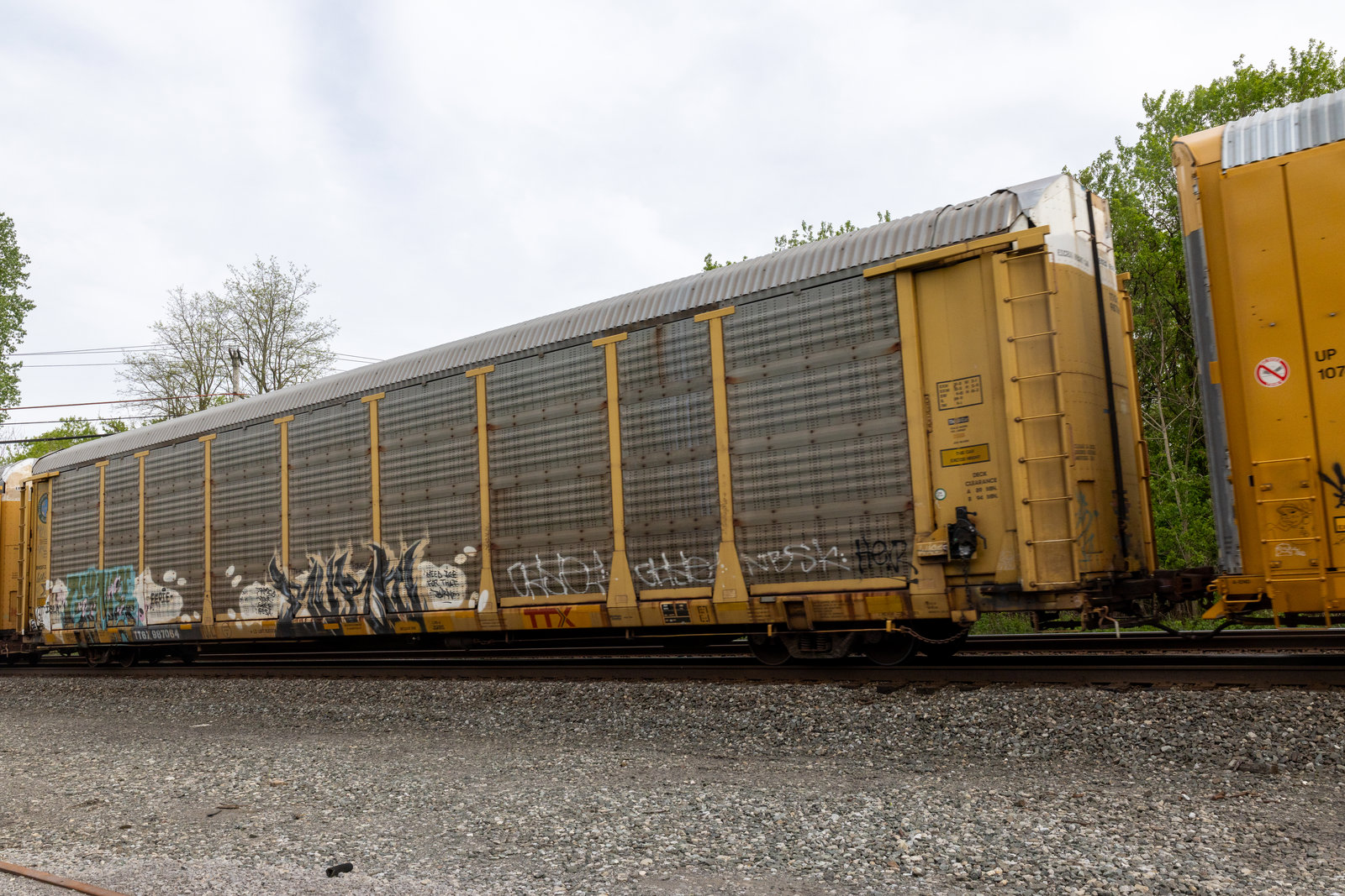 TTGX 987064