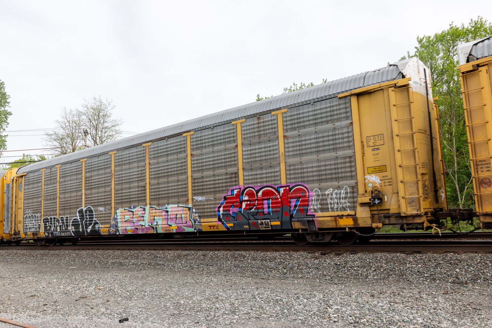 TTGX 987177