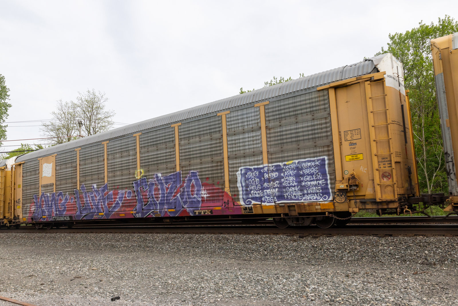 TTGX 987429