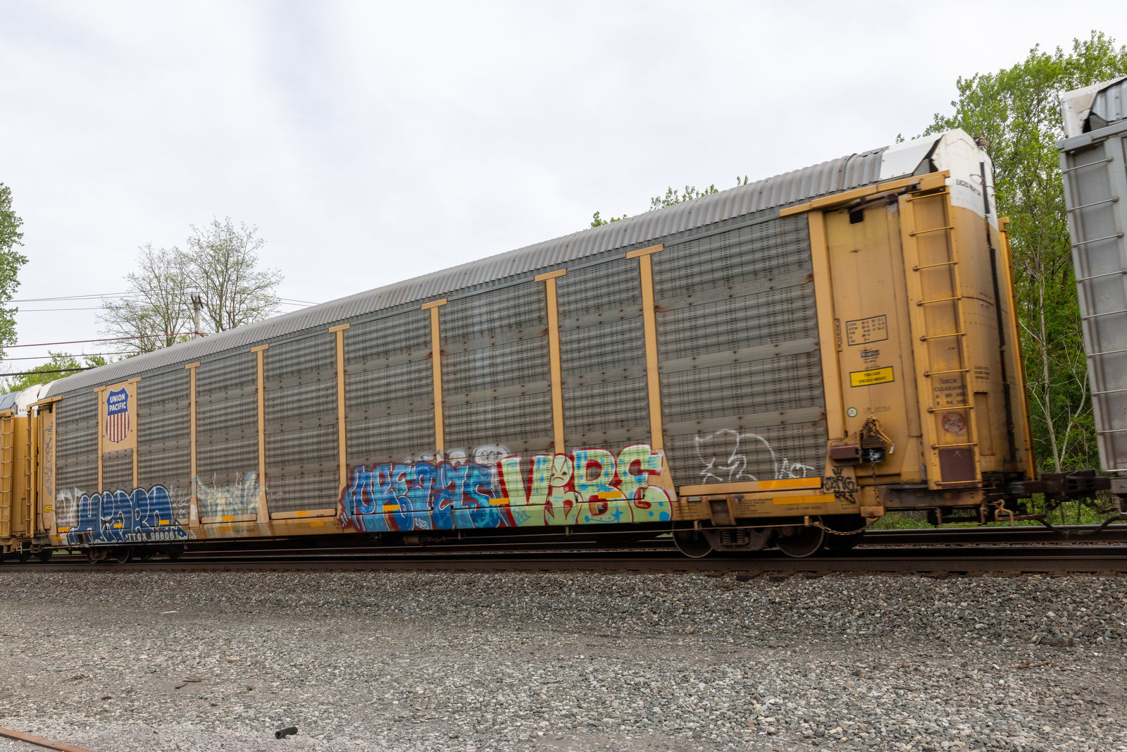 TTGX 988061